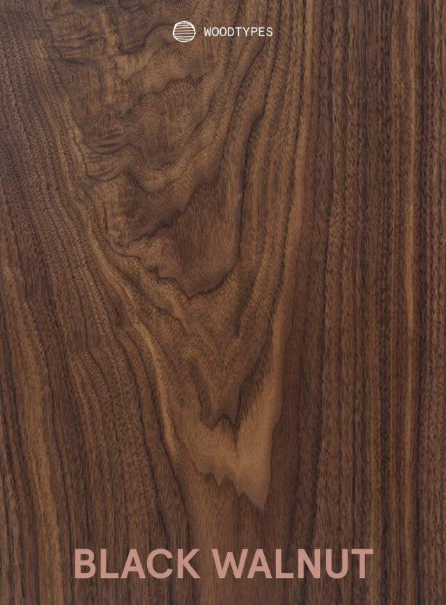 Black Walnut