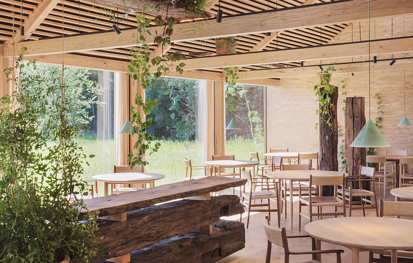 The role of wood at  Noma restaurant - 1