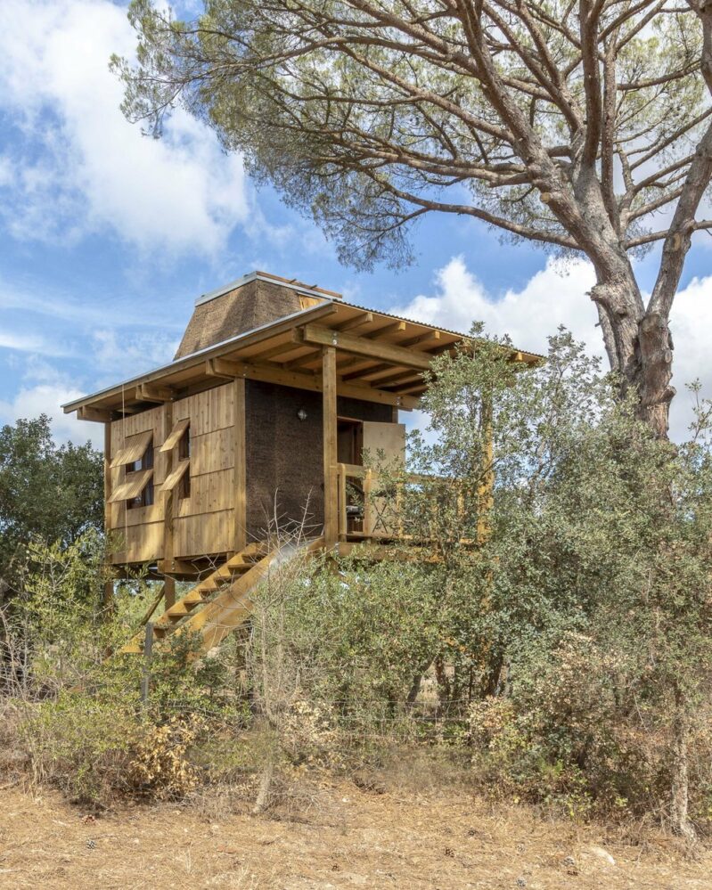 Columba Treehouse by Madeiguincho